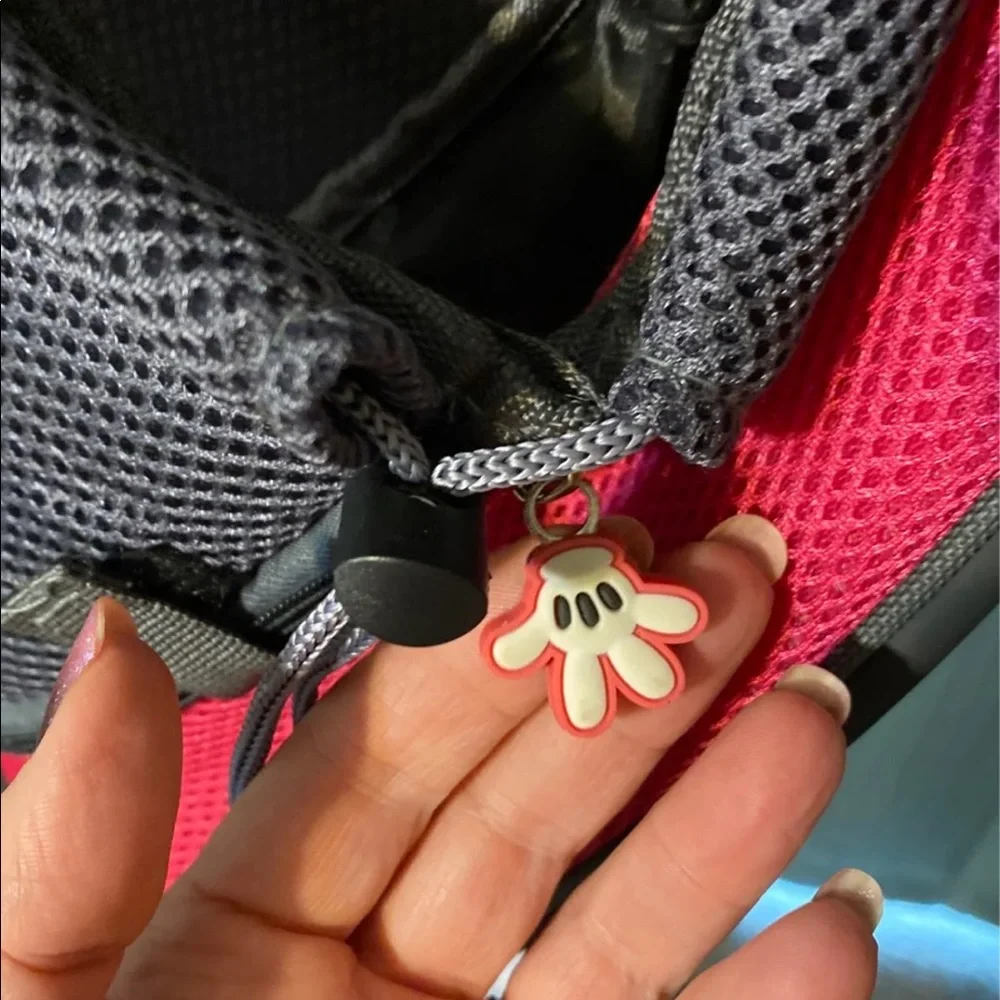 Pet carrier